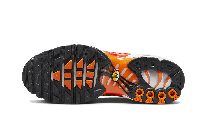 Nike Air Max Plus Light Photography - Image 3